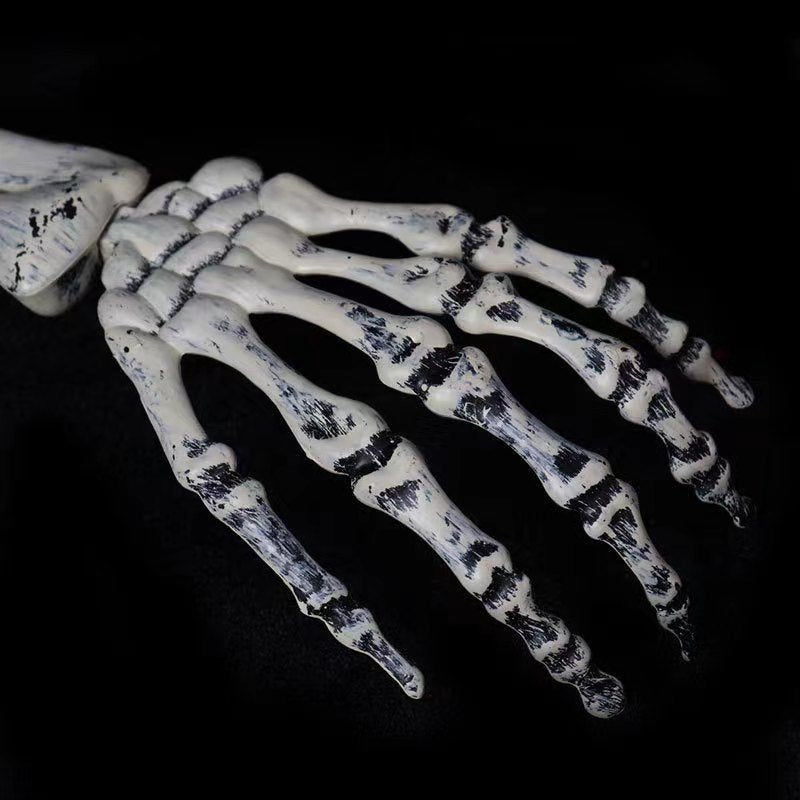 Halloween Fake Skeleton Head and Hands Set